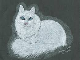 Drawing of a cat